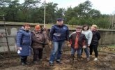 Закладка розсадника