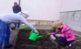 Гарденотерапія