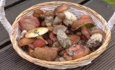  Заняття в живій природі 