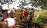 Незвичайні пригоди Колобка